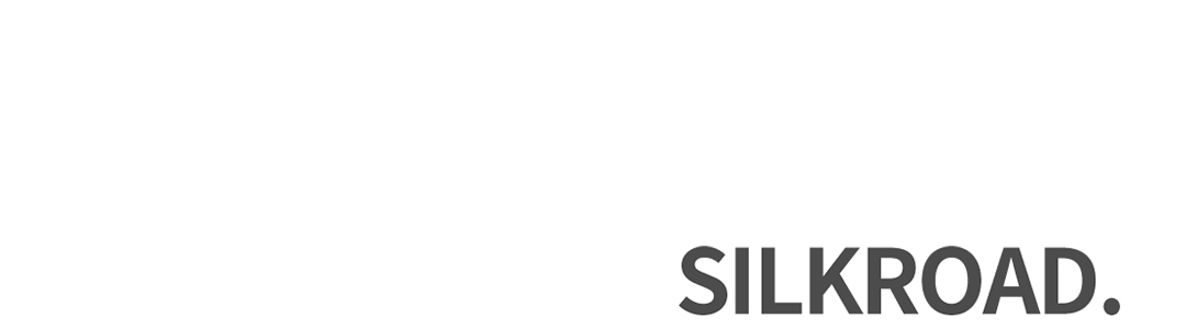 丝路视觉LOGO