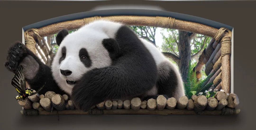 微信图片_20250307101202.jpg